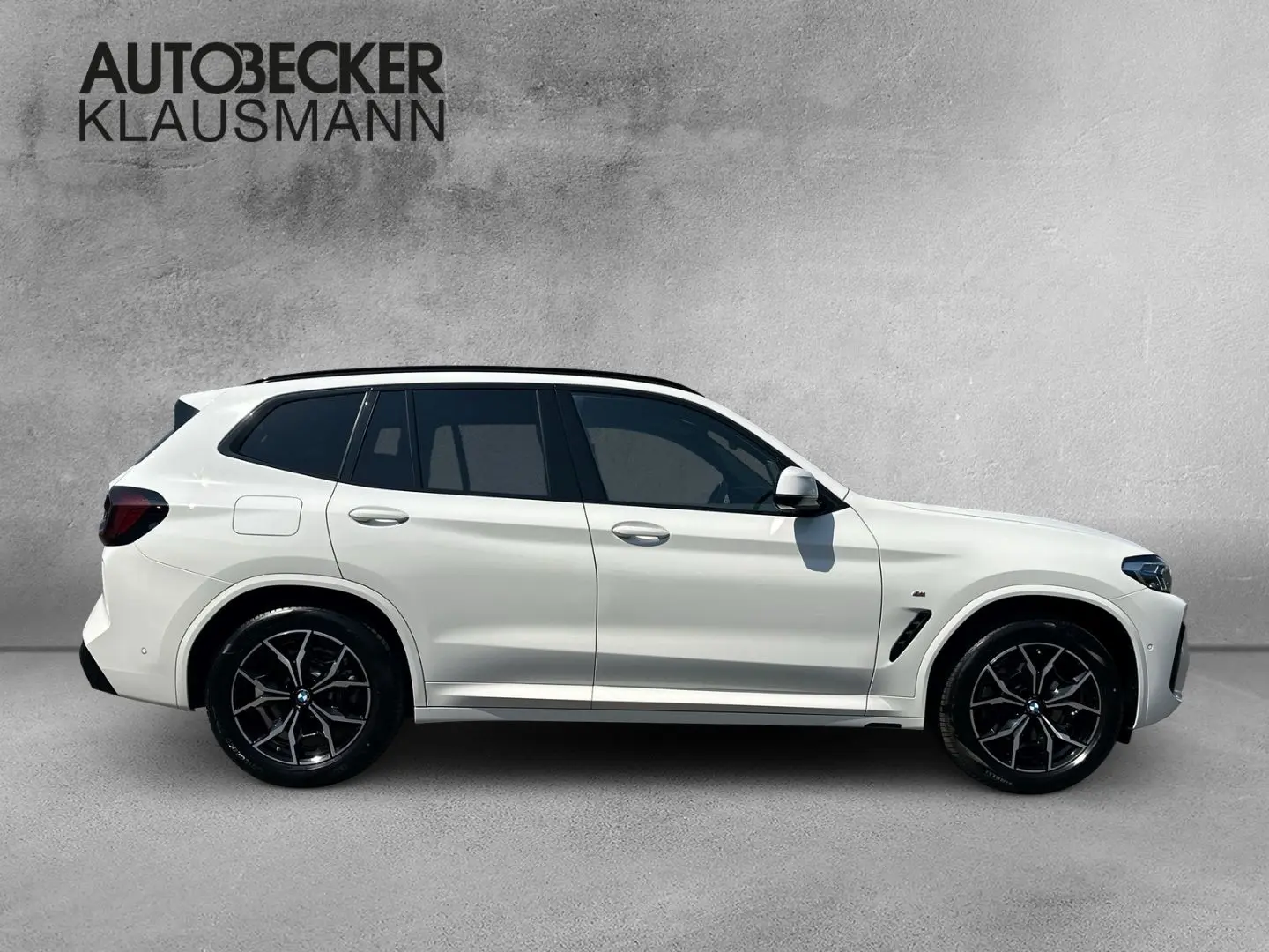 X3 xDrive 20d M Sport 19''LC PROF HUD AHK PANO