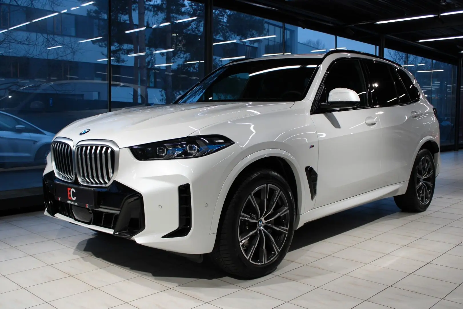 X5 xDrive 40 i M Sport /DrAssPro/Panorama/soft