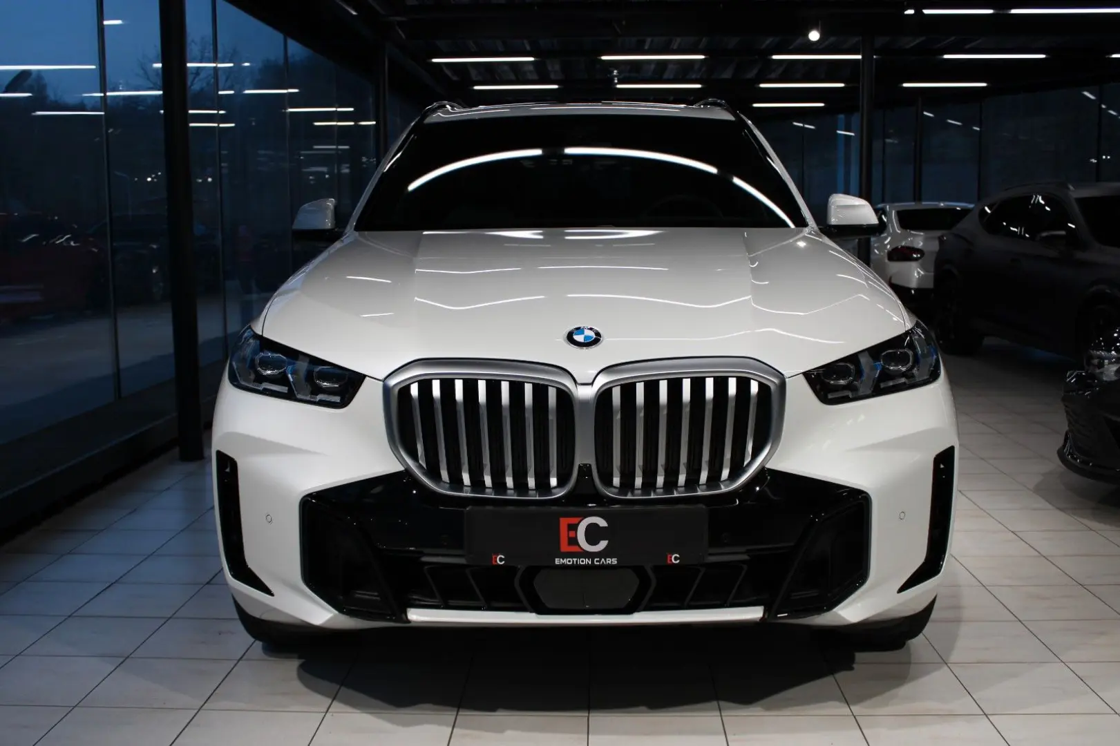 X5 xDrive 40 i M Sport /DrAssPro/Panorama/soft