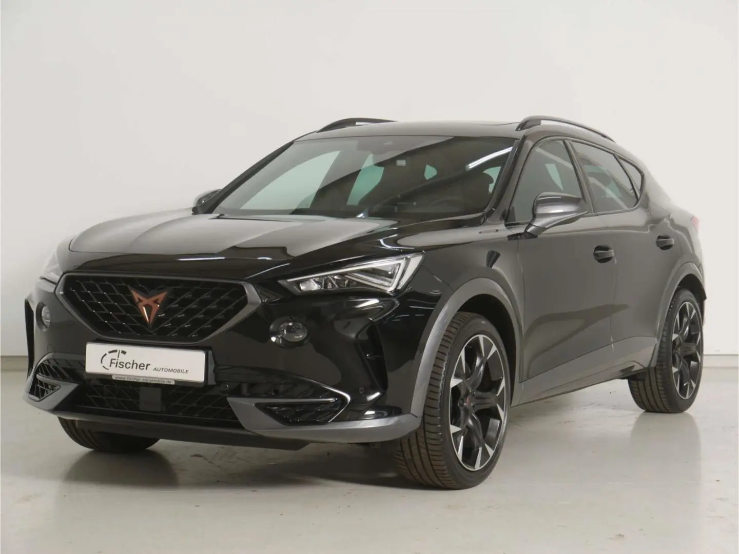 Formentor 2.0 TSI DSG 4Dr.VZ P-Dach NAV ACC RFK