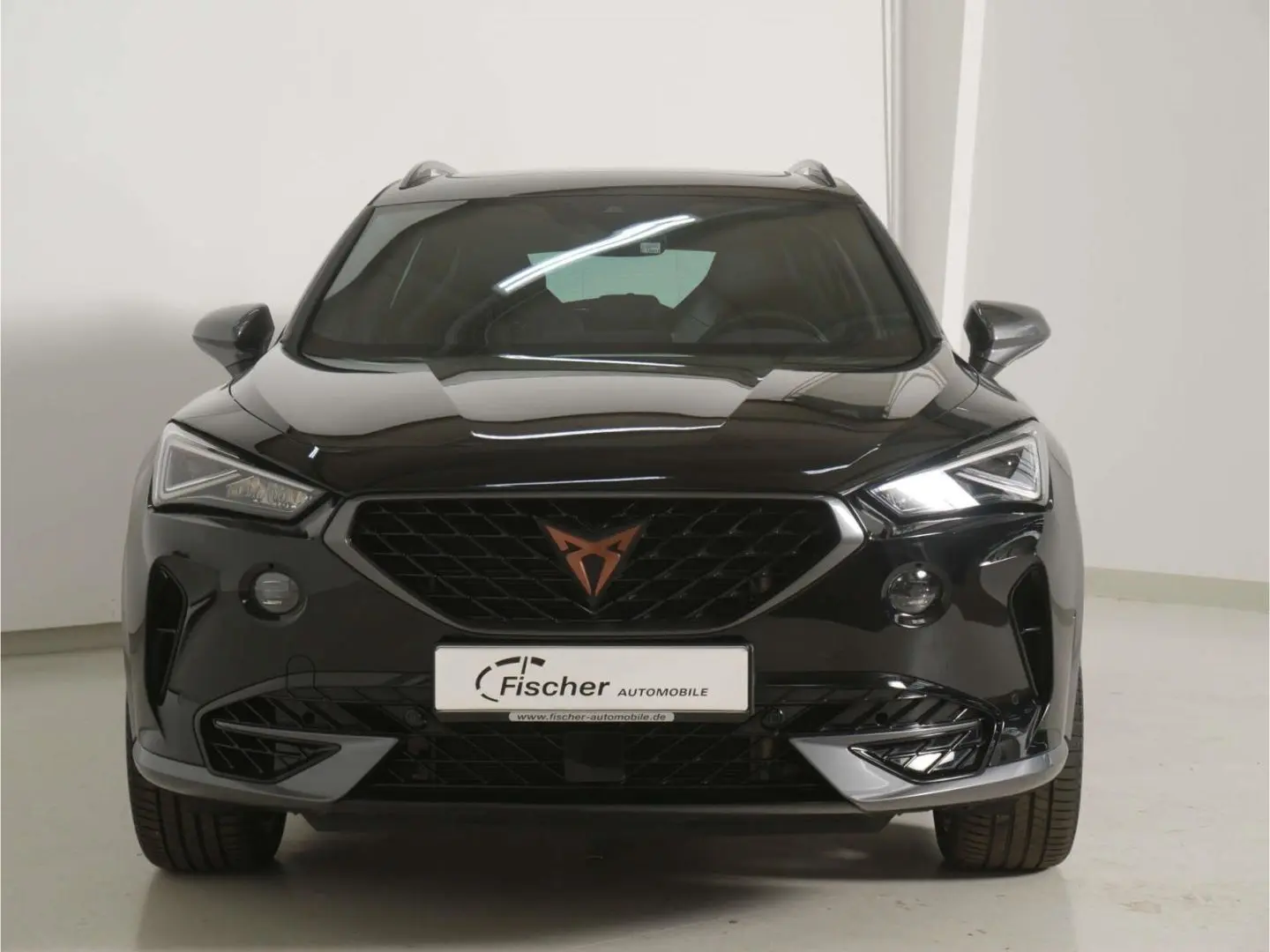 Formentor 2.0 TSI DSG 4Dr.VZ P-Dach NAV ACC RFK