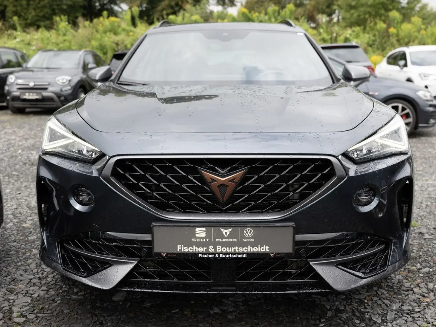 Formentor 2.0 TSI VZ 4Drive NAV PANO LEDER BEATS