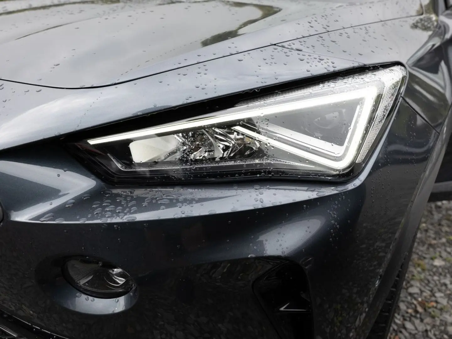 Formentor 2.0 TSI VZ 4Drive NAV PANO LEDER BEATS