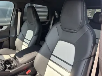 Cayenne S E-Hybrid | Hinterachslenkung | PDCC |