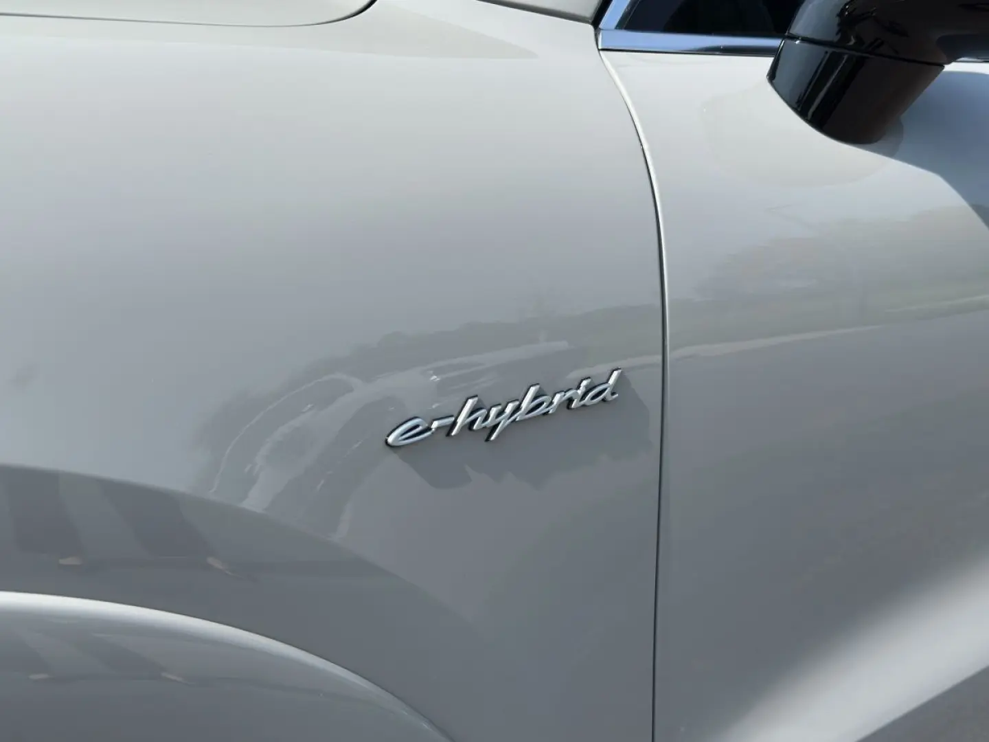 Cayenne S E-Hybrid | Hinterachslenkung | PDCC |