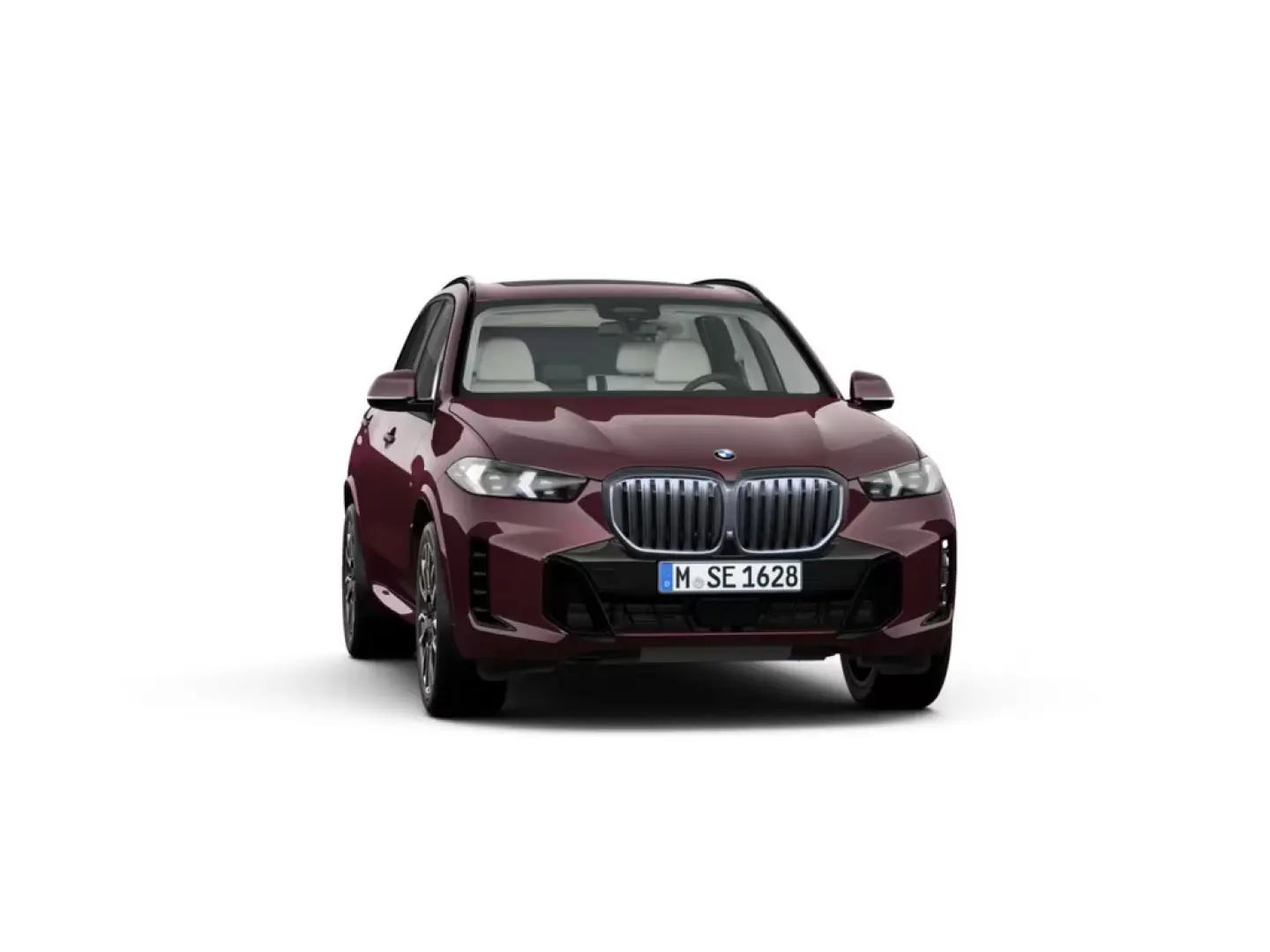 BMW X5 xDrive 30d M-Sport ACC STANDHZ