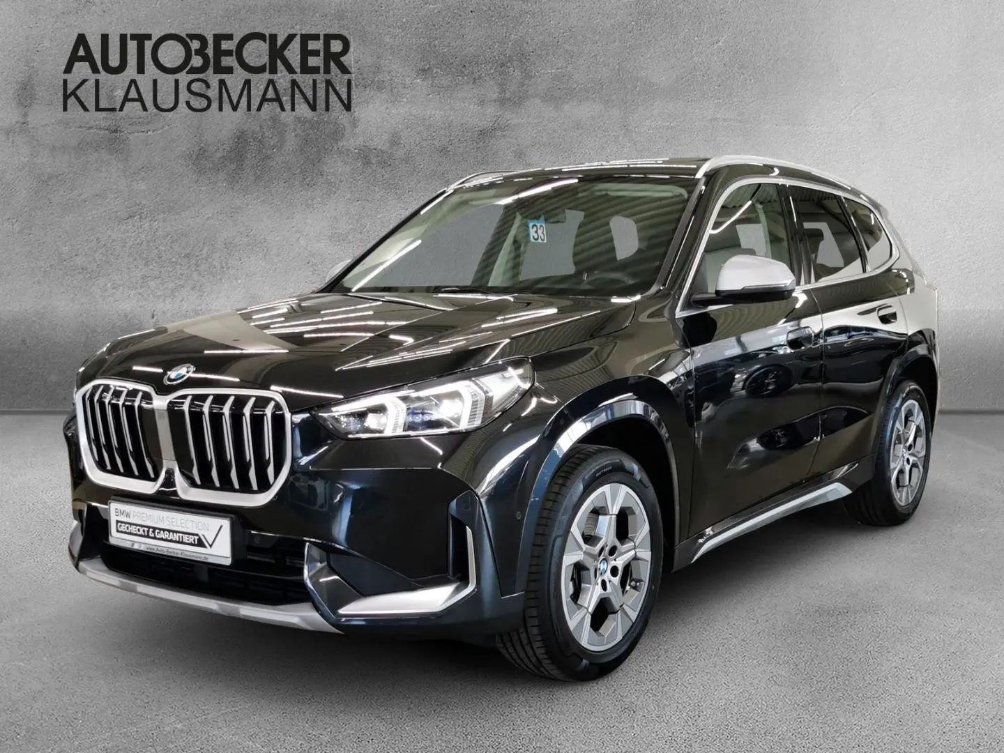 X1 xDRIVE 20d xLine 18''LC PROF HuD 360°AHK SPOR