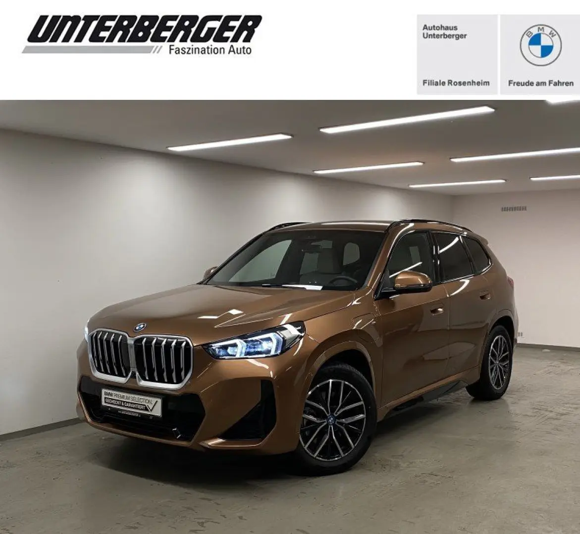 X1 xDrive30e M Sportpaket Head-Up DA. Prof. PA. 