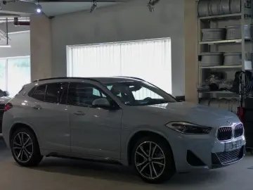 X2 20d xDr MSport AHK,HUD,Kamera,19 Zoll