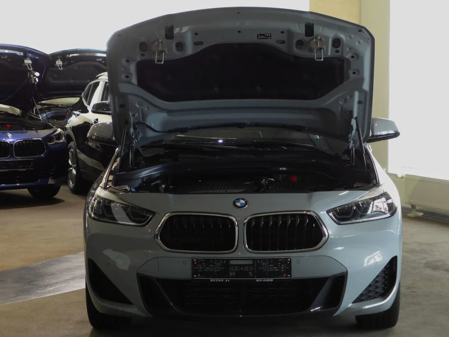 X2 20d xDr MSport AHK,HUD,Kamera,19 Zoll