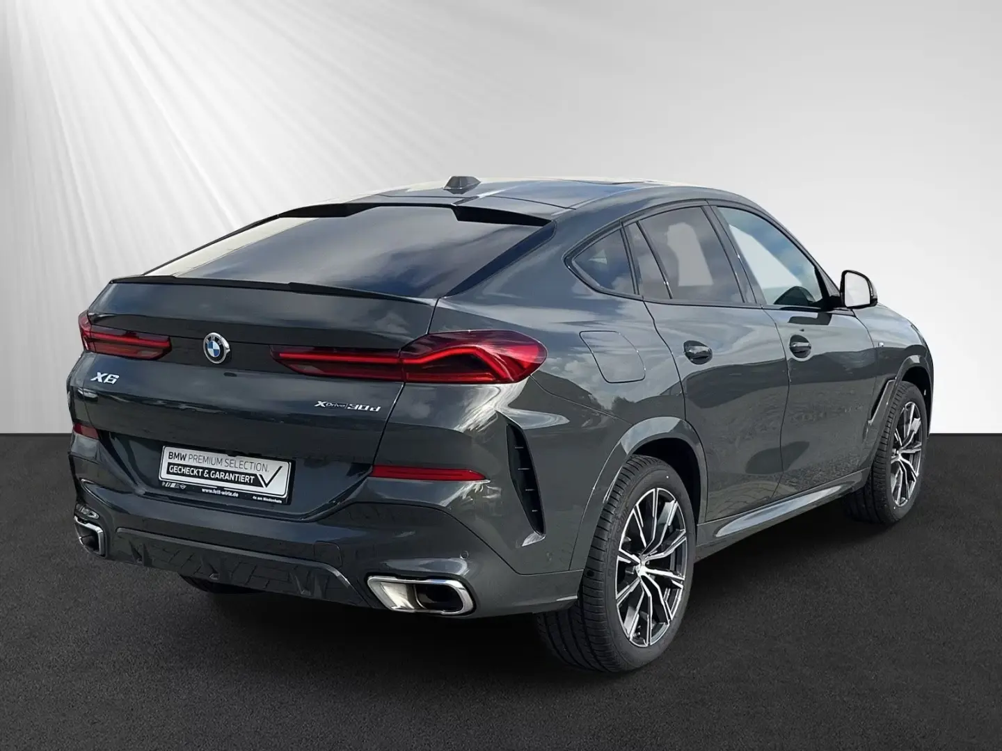 BMW X6 xDrive30d AHK|Panorama|H/K|