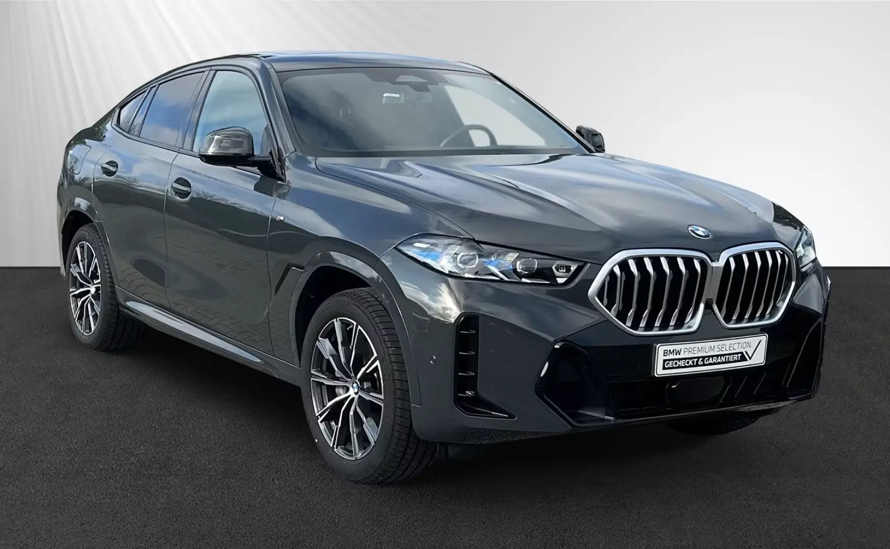 BMW X6 xDrive30d AHK|Panorama|H/K|