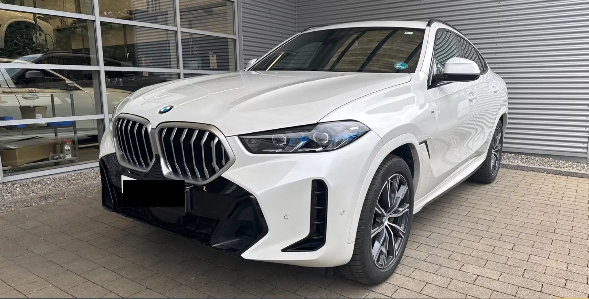BMW X6 xDrive30dA Navi HUD ACC 360°
