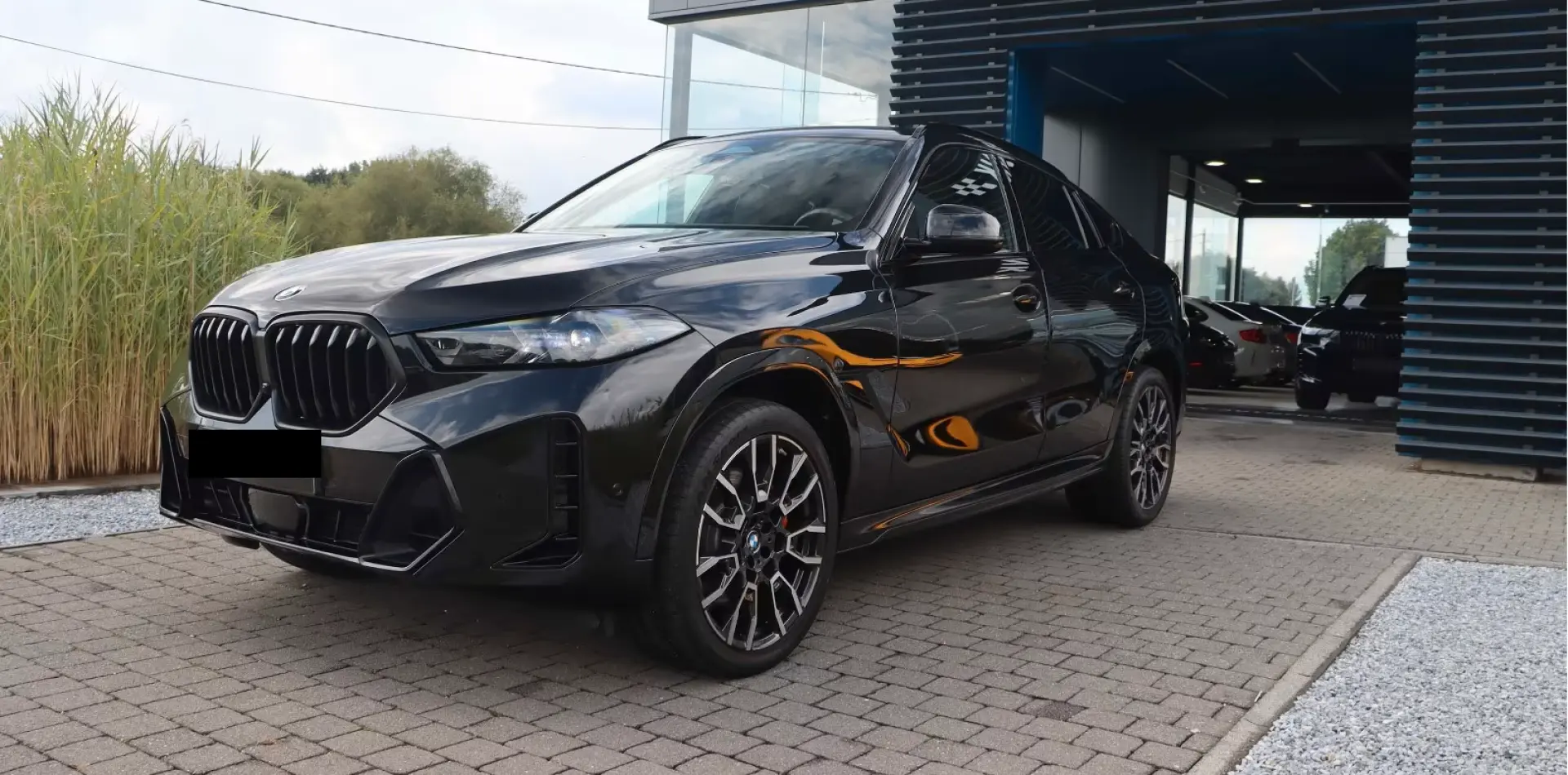 BMW X6 30D / M-SPORT-PRO / PANO / HIFI