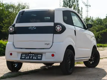 LIGIER FULL ELECTRIC