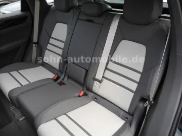 Cayenne Platinum Edition SPORT-DESIGN-PAKET/21