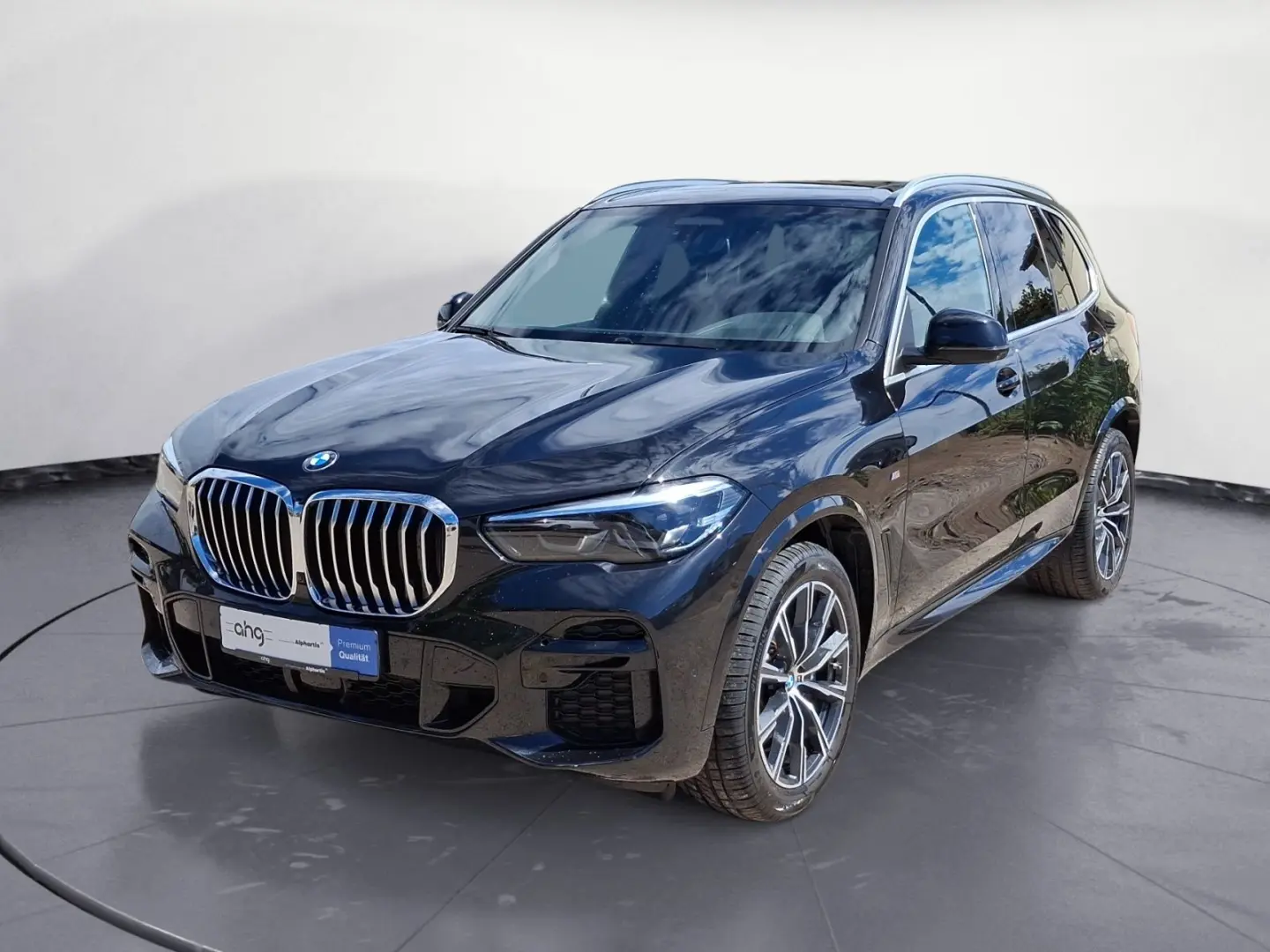 X5 xDrive30d M Sportpaket Sport Aut. Panorama