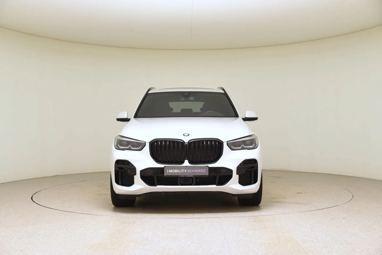 X5 xDrive30d M Sport DriveAss Pano AHK Sthzg LED