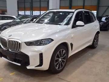 X5 xDrive40d M Sportpaket Sky Lounge AHK ACC