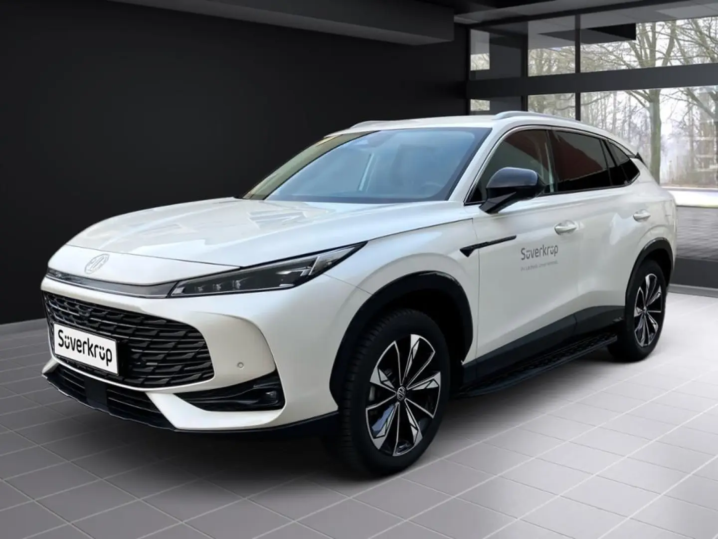 HS PHEV Luxury