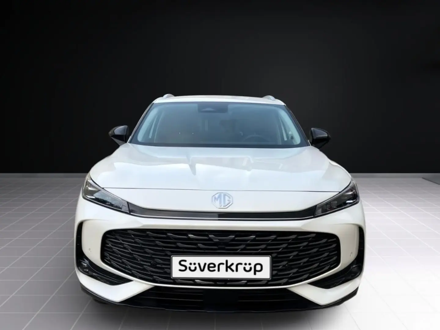 HS PHEV Luxury