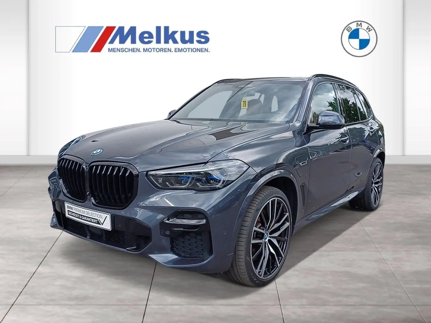 X5 xDrive45e M Sportpaket Gestiksteuerung HiFi
