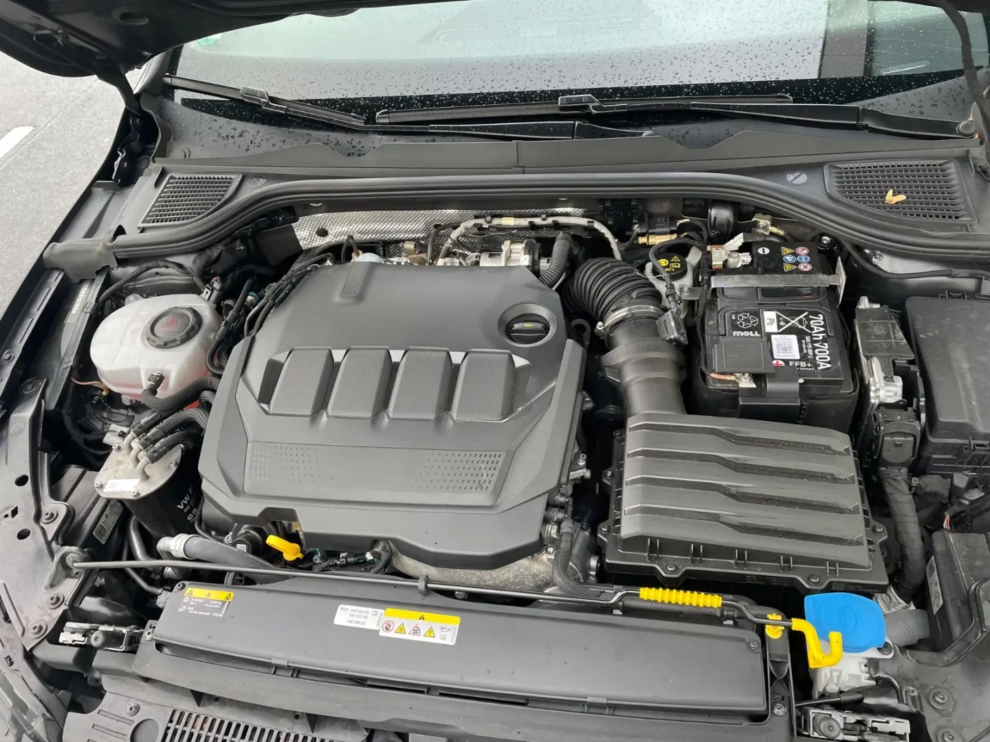 Golf VIII 2.0 TDI Life DSG7