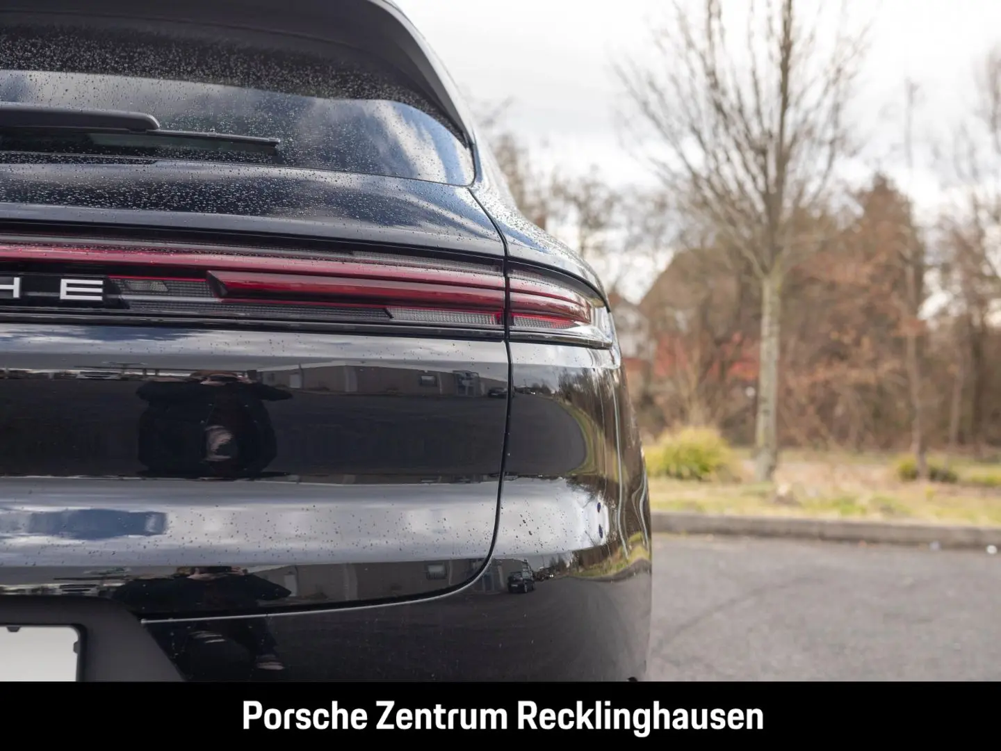 Cayenne E-Hybrid BOSE Surround-View Panoramadach