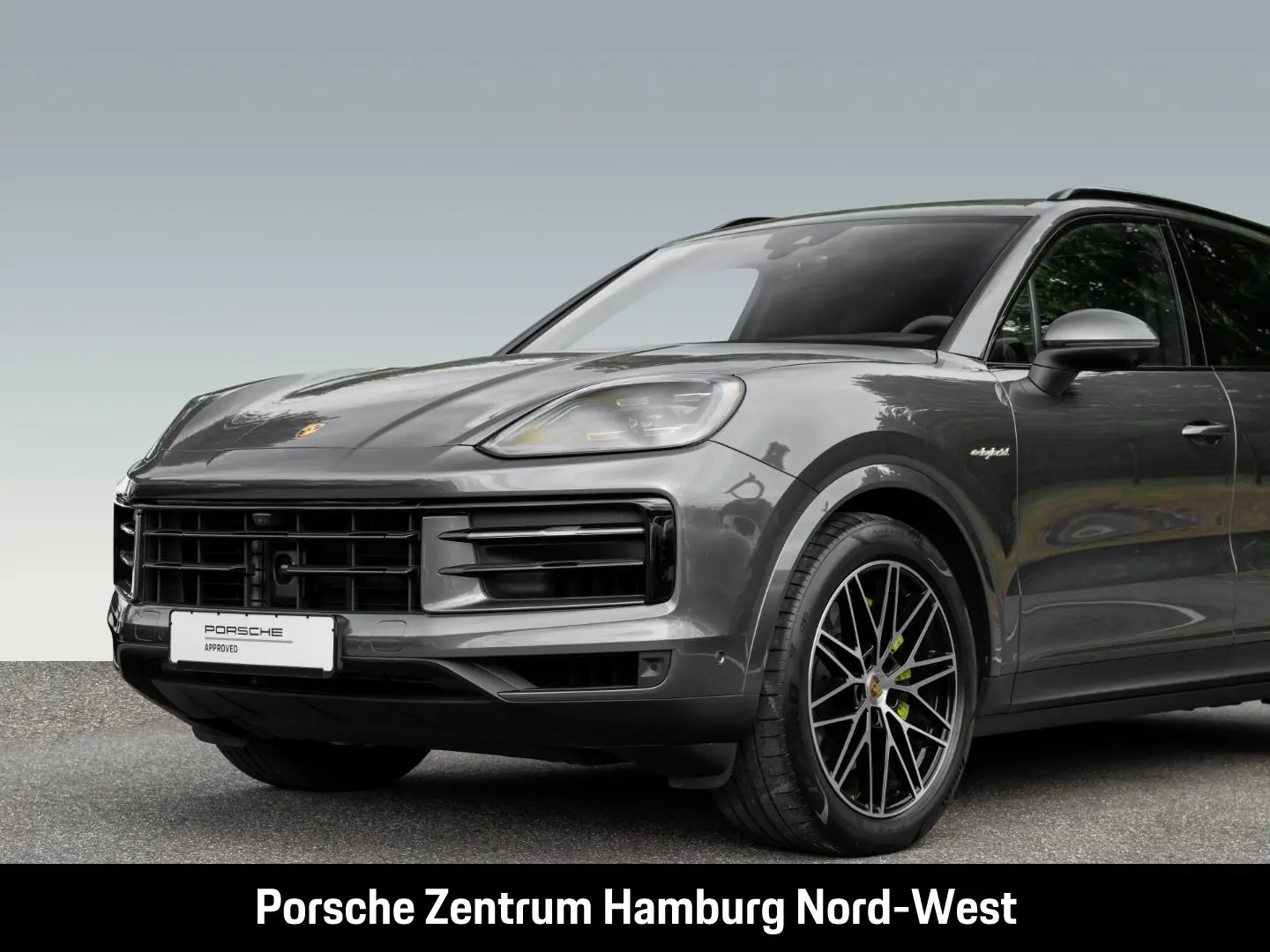Cayenne E-Hybrid Panoramadach PASM BOSE ACC 360°