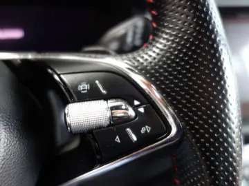 Kodiaq RS 4x4 DSG AHK LED