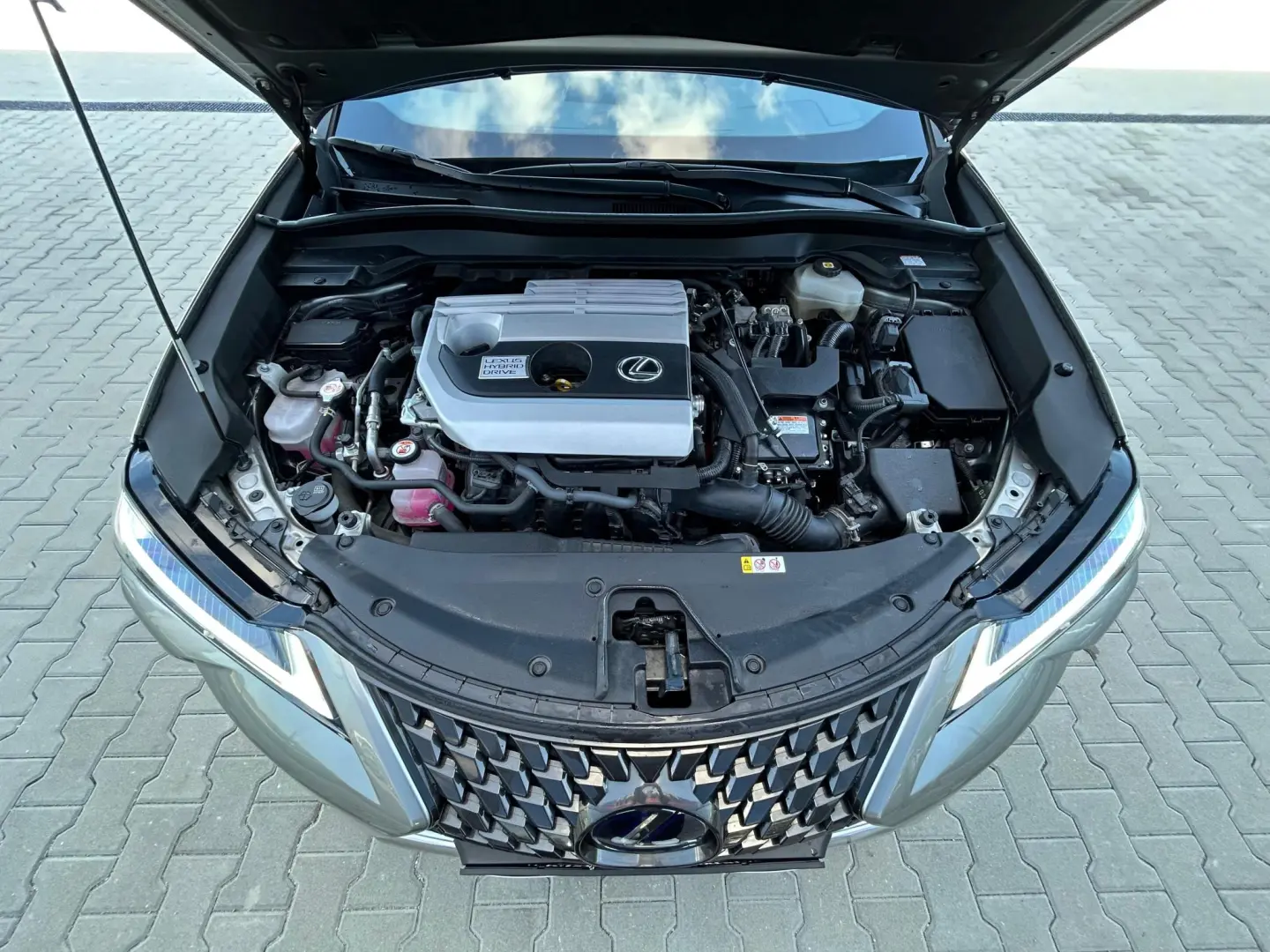 Lexus UX 250h 2.0L HEV 20H- (178 HP) 4X4 CVT Executive 2021
