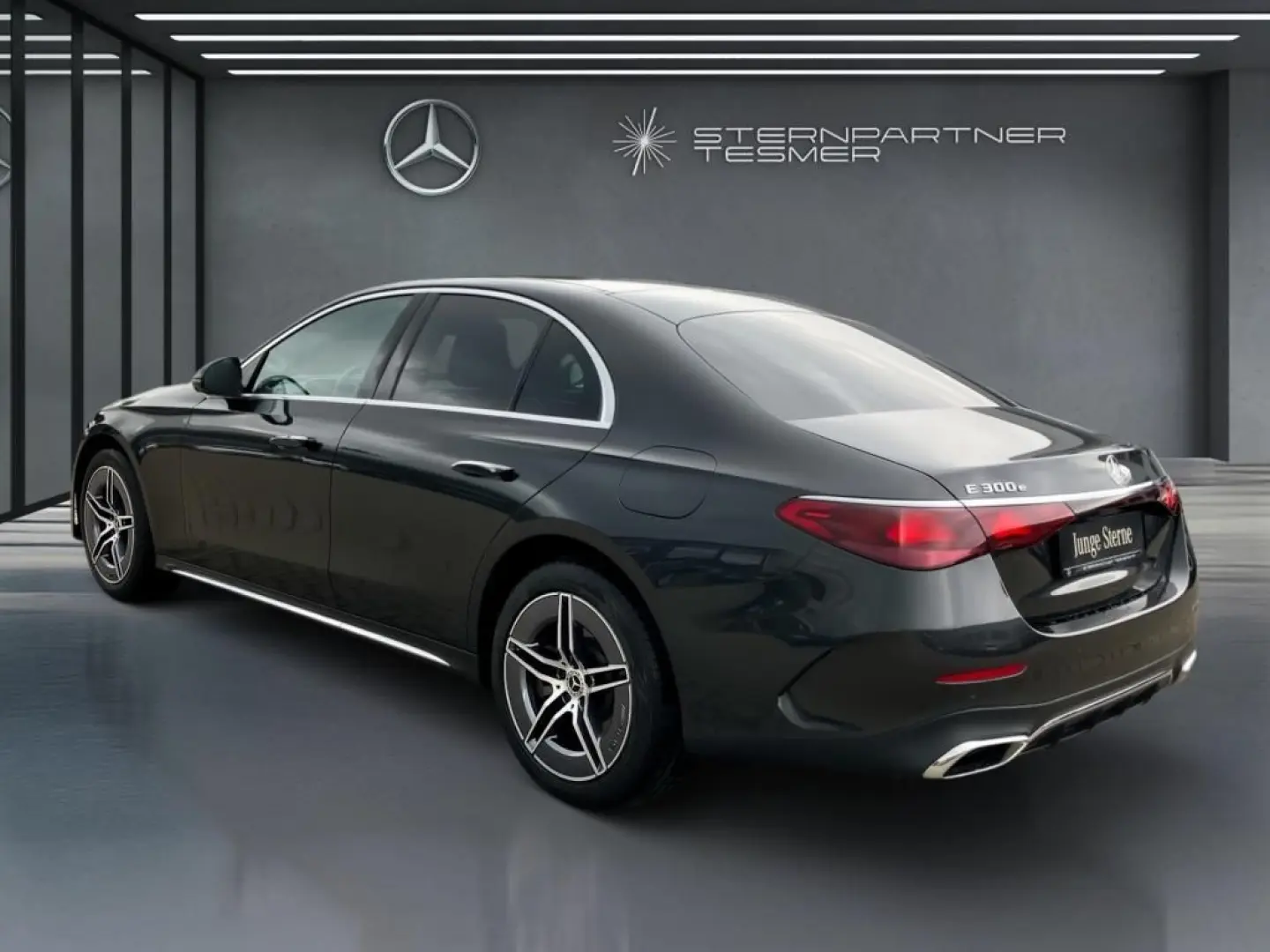 E 300 e AMG/Distr./Mem.P/AHK/360°/Agility.Ctrl