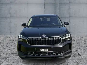 Kodiaq Selection 2.0 TDI DSG RFK AHK DCC