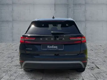 Kodiaq Selection 2.0 TDI DSG RFK AHK DCC