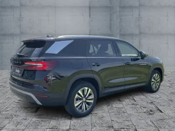 Kodiaq Selection 2.0 TDI DSG RFK AHK DCC
