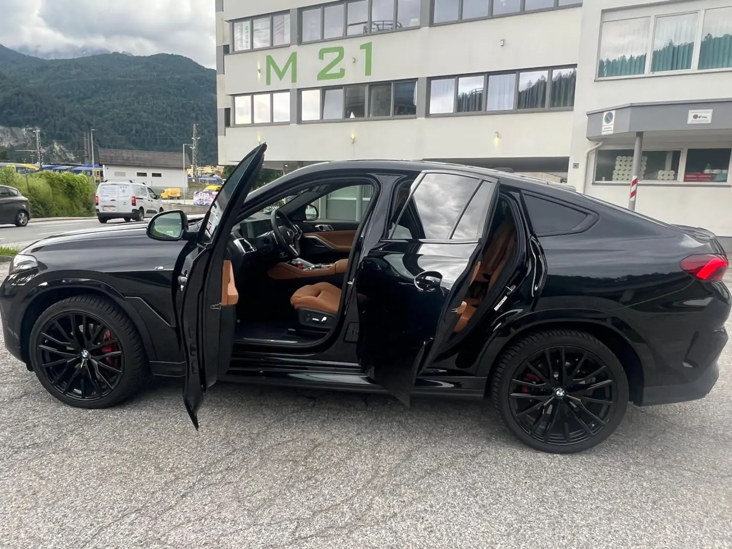 X6 30d xDrive M Sportpaket/Leder Braun