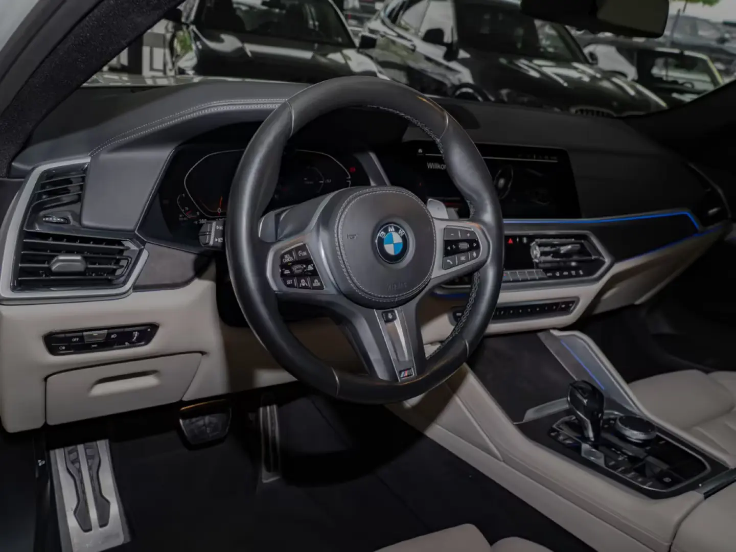 BMW X6 xDrive 30d M-Sport PANO AHK HUD