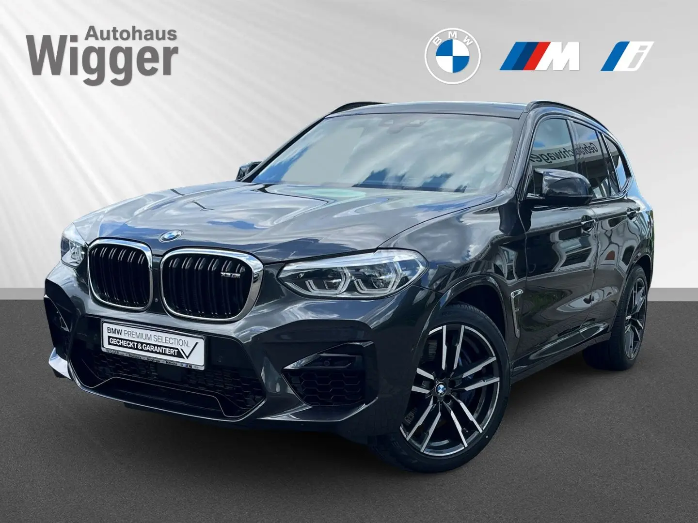 X3 M /HUD/AHK/Panoramadach/Navigation/Leder