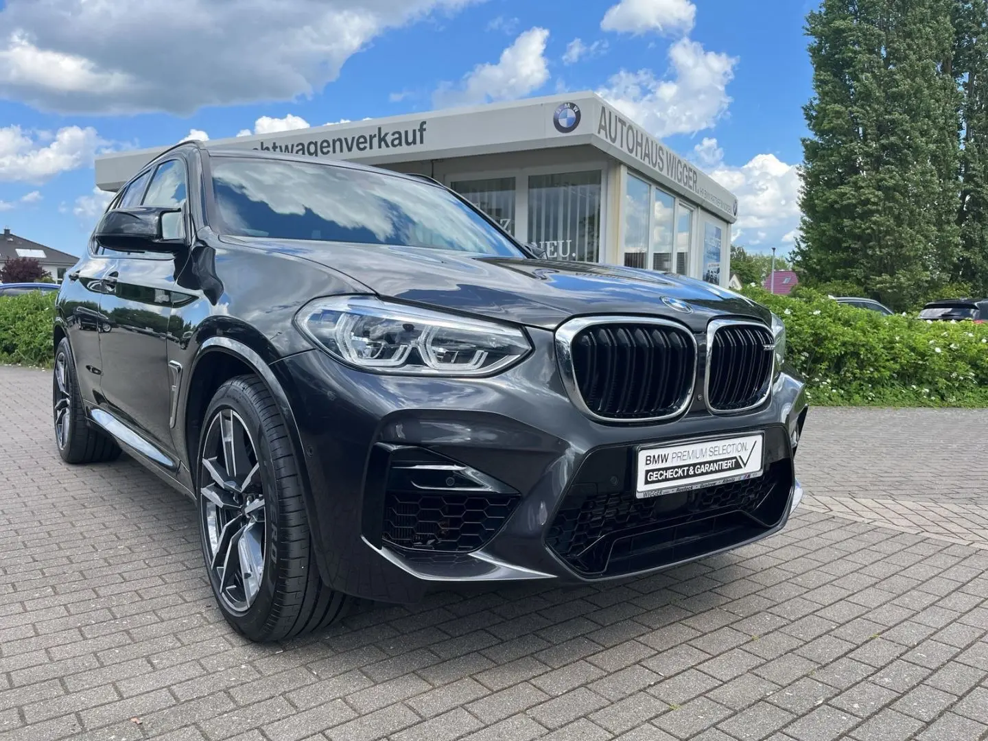 X3 M /HUD/AHK/Panoramadach/Navigation/Leder