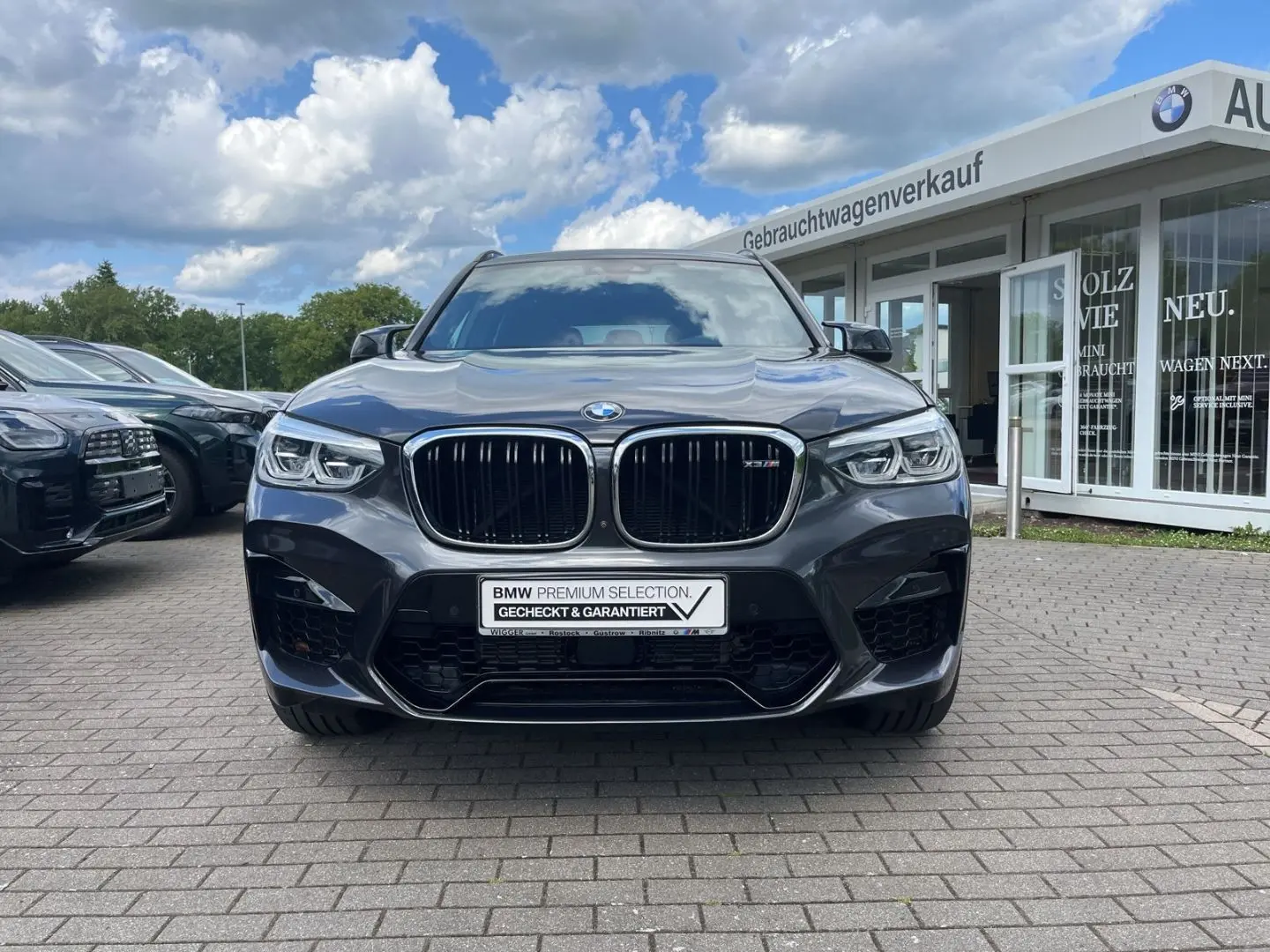 X3 M /HUD/AHK/Panoramadach/Navigation/Leder