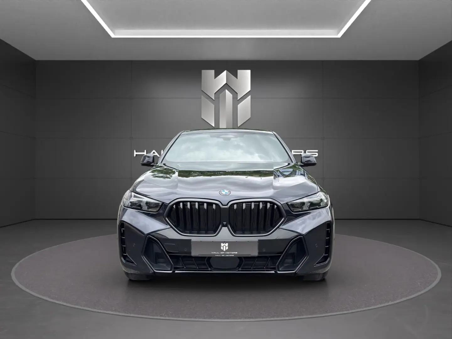X6 xDrive30d | M-Sport Pro| LED| Sky| H&K| Luft