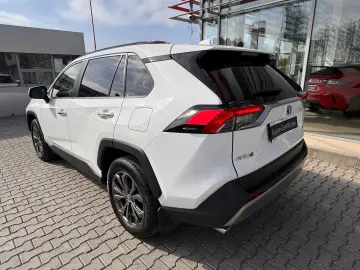 Toyota RAV-4 Hybrid 2.5 222 CP Luxury 4x4/ Car no.47