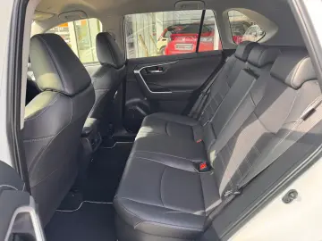 Toyota RAV-4 Hybrid 2.5 222 CP Luxury 4x4/ Car no.47