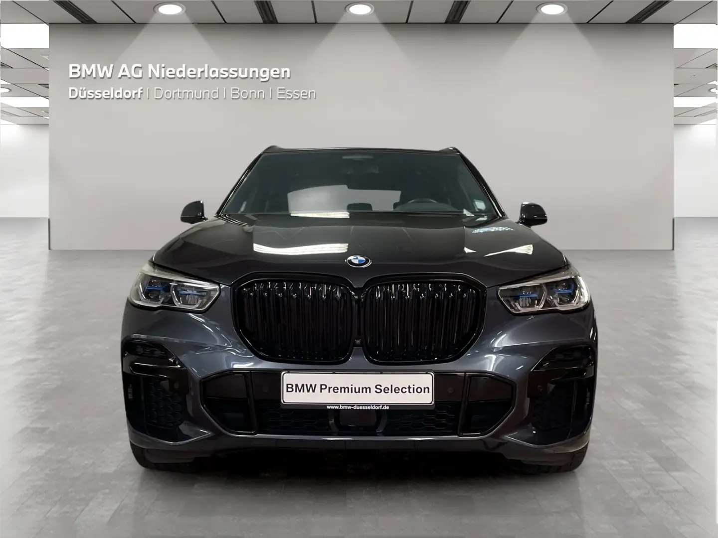 X5 xDrive30d M Sport Standheizung Massage AHK