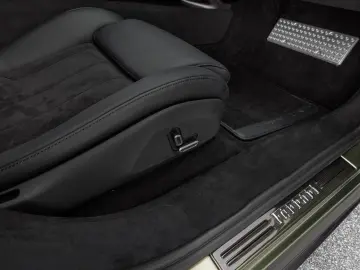 Purosangue