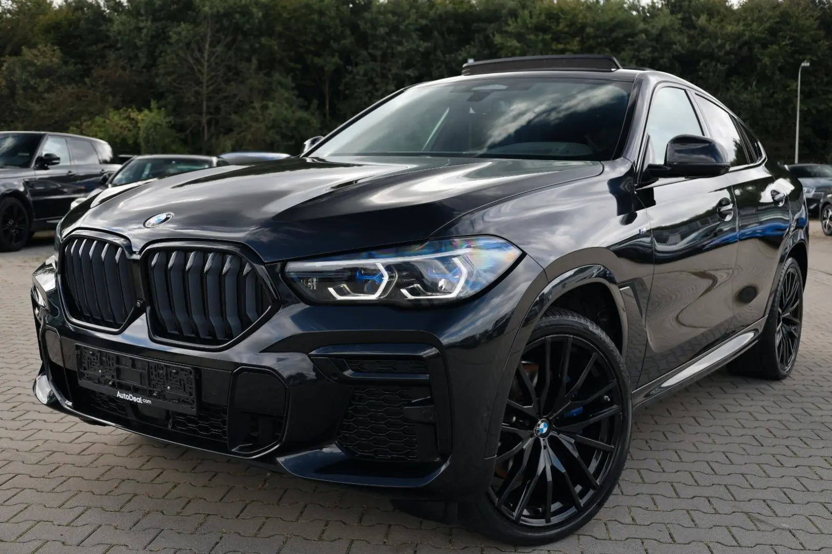 X6 xDrive 30d M Sport Paket* Panoramadach