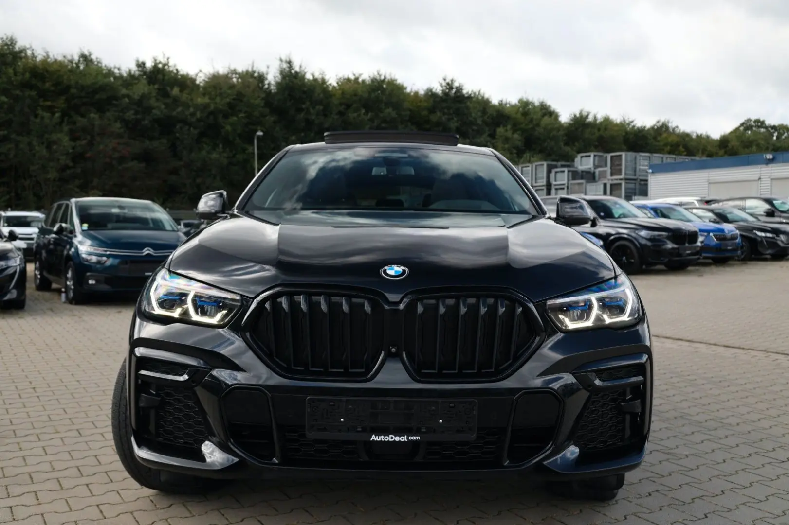 X6 xDrive 30d M Sport Paket* Panoramadach