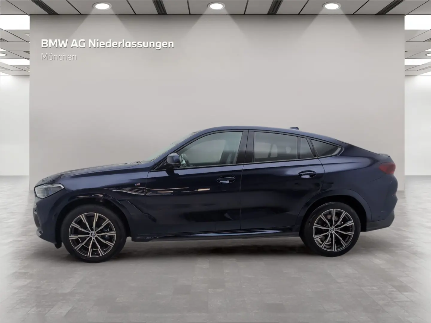X6 xDrive40d M Sport Standheizung AHK Head-Up