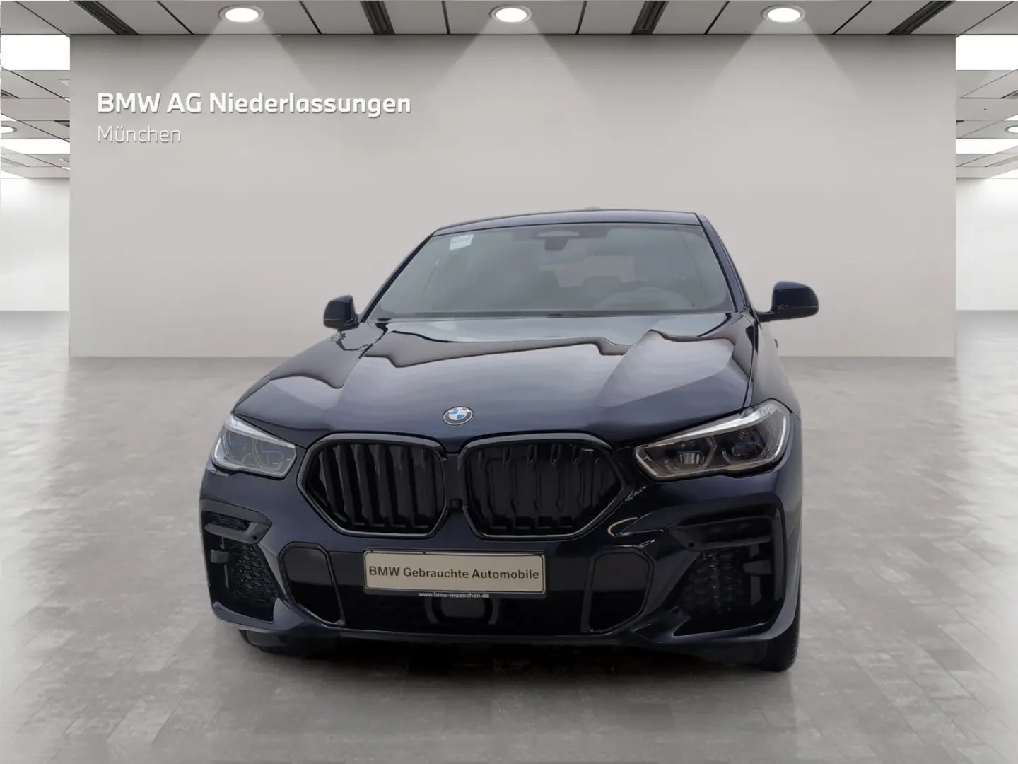 X6 xDrive40d M Sport Standheizung AHK Head-Up