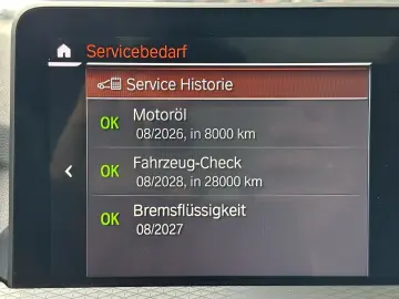 X4 xDrive20i M-Paket